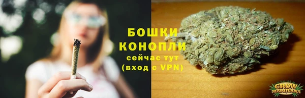 PSILOCYBIN Абаза