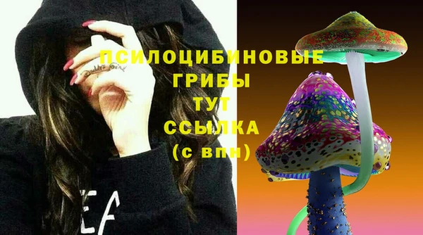 PSILOCYBIN Абаза