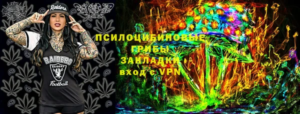 PSILOCYBIN Абаза