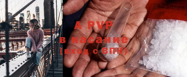 PSILOCYBIN Абаза