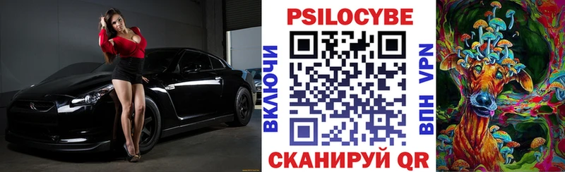Галлюциногенные грибы Psilocybe  Сертолово 