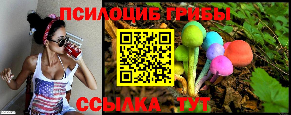 Галлюциногенные грибы MAGIC MUSHROOMS  купить  сайты  Сертолово  Вход с VPN  Псилоцибиновые грибы мицелий 
